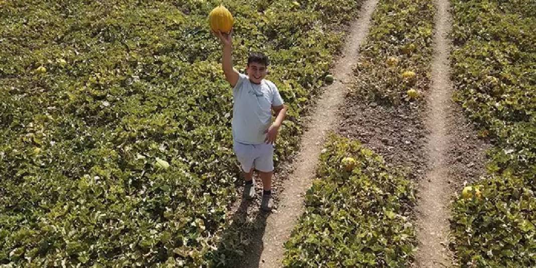 Sadece bu yaylada yetişiyor! Türkiye’nin endemik ürünü hasat ediliyor: 400 dekarda, altın değerinde 3